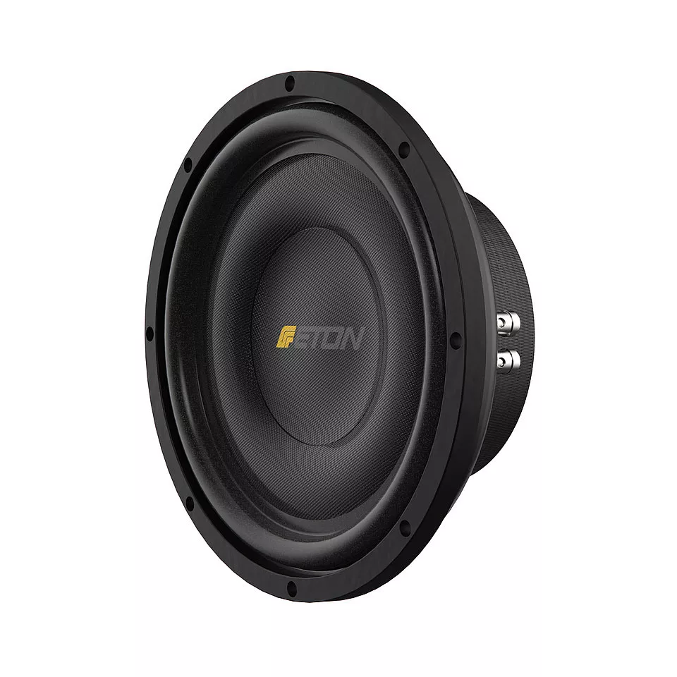 Eton M10 FLAT - 25cm Flatsubwoofer für besonders kleine Gehäuse